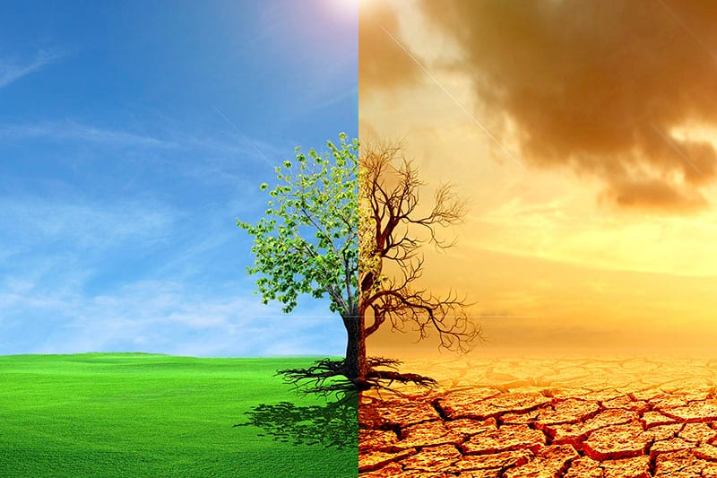 A natureza em dois estágios: natureza viva e seca