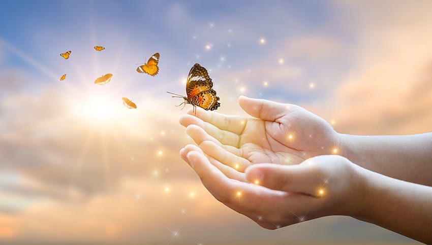 A menina liberta a borboleta do jarro, momento azul dourado Conceito de liberdade