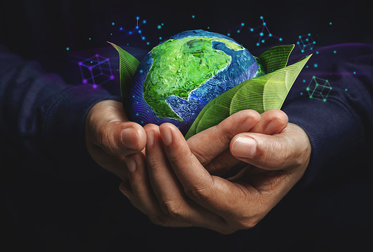 COP30: um chamado à responsabilidade planetária